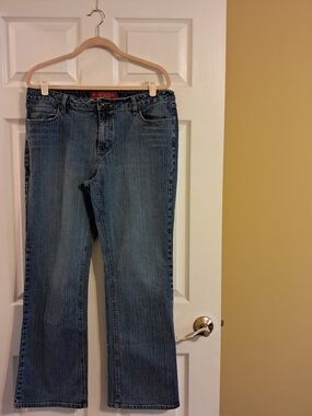 Faded Glory Blue Denim Jeans -  Classic Flare Women's Size 16